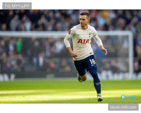 洛塞尔索技术全面性